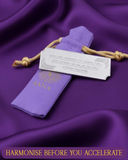 Vehicle Harmonizer with Grabovoi Numbers