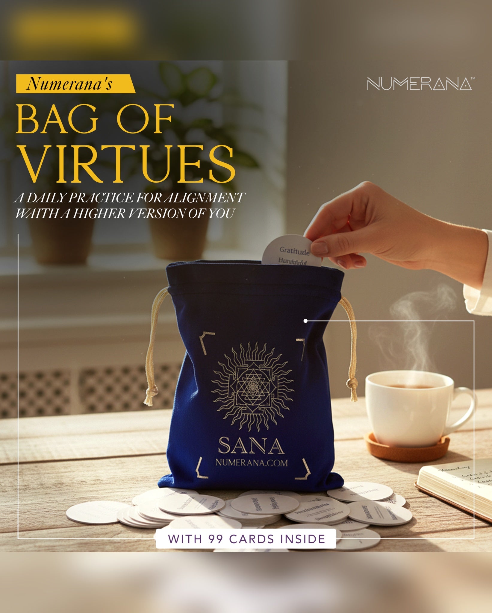 Bag Of Virtues
