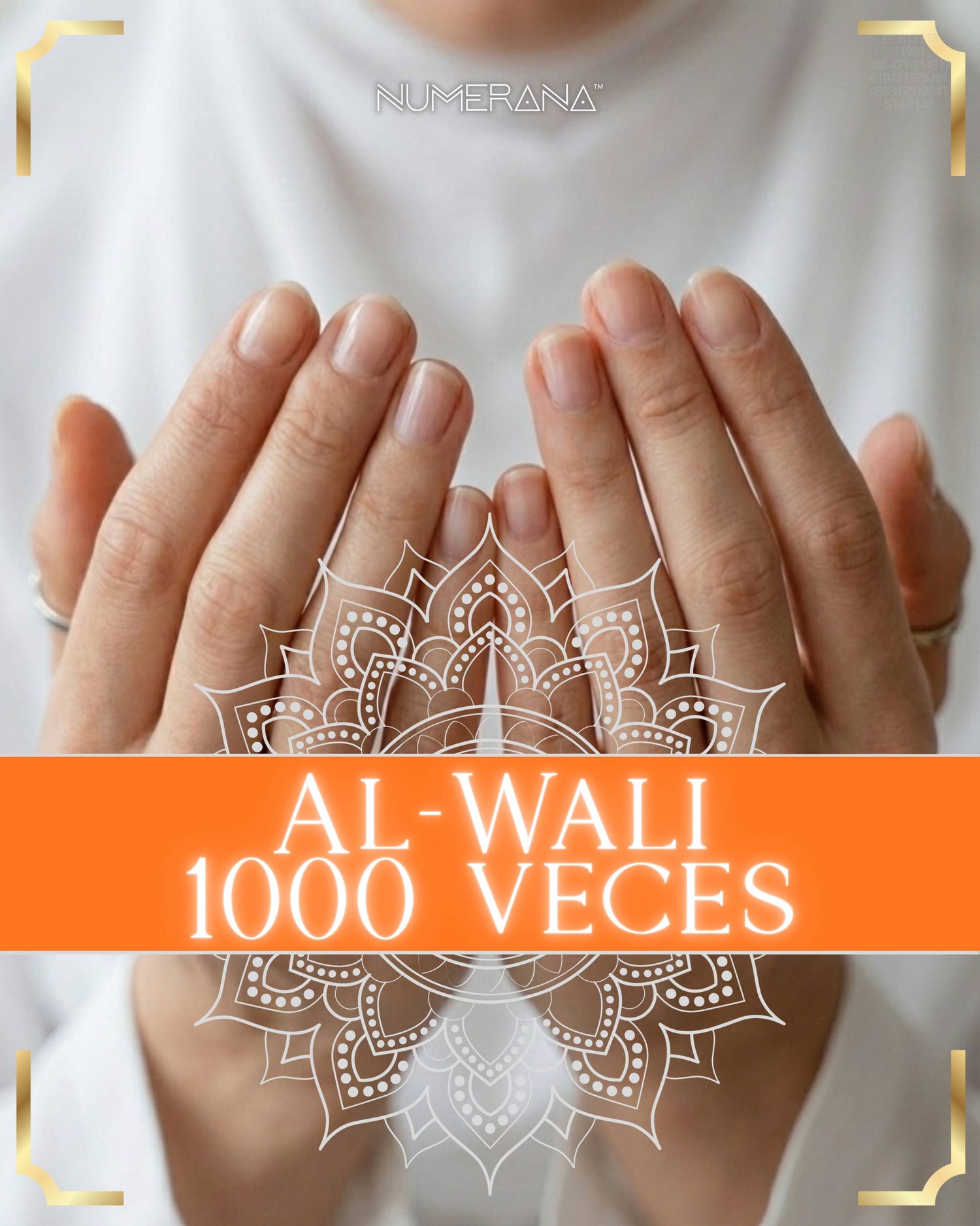 AL-WALI 1000 VECES