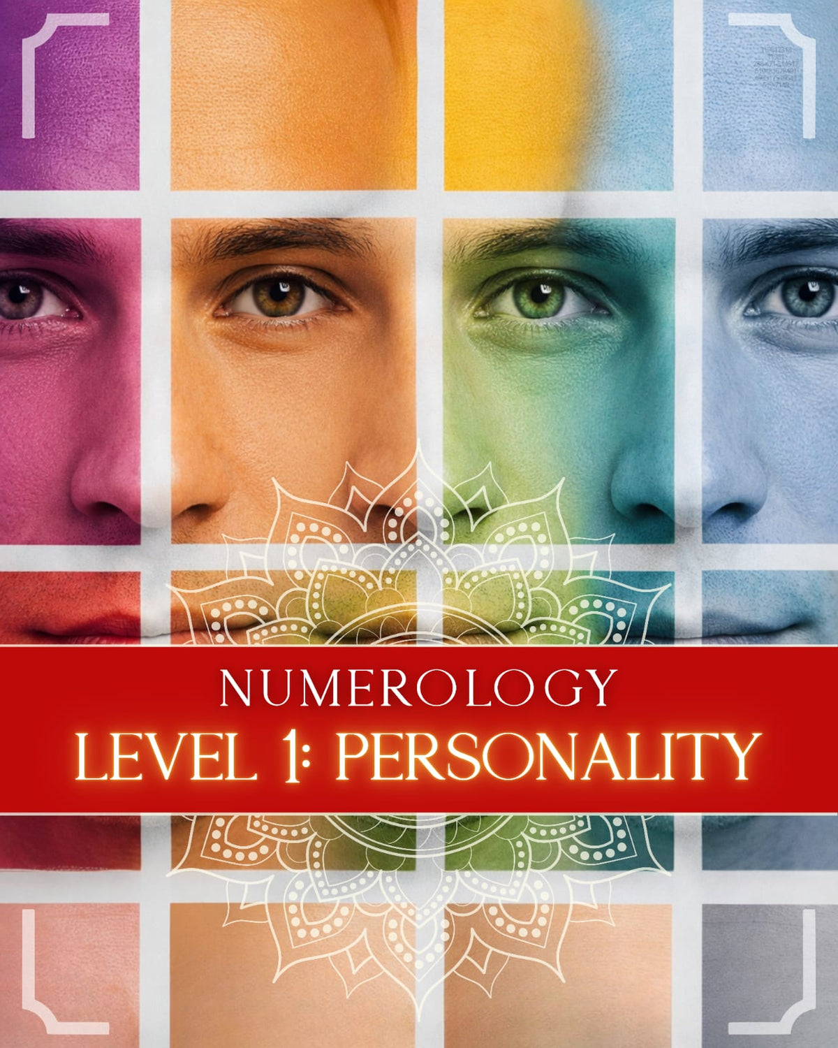Book cover of &